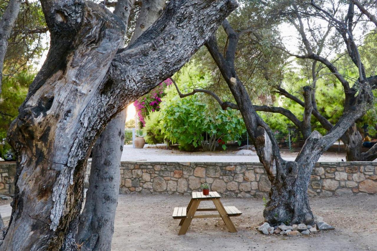 Pyrgos Ralli Estate Guesthouse Aegina Экстерьер фото
