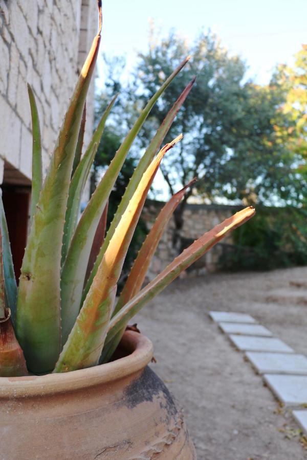 Pyrgos Ralli Estate Guesthouse Aegina Экстерьер фото